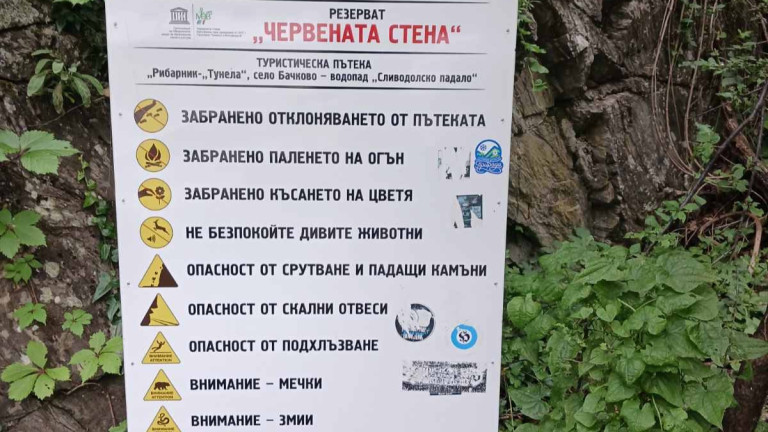 Изображение 767071