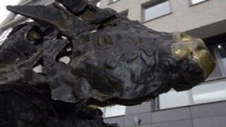 Разпродажбите на БФБ продължават