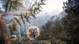 Biosphere, Treehotel, Швеция и новата стая в хотела, скрита в сфера от къщички за птици