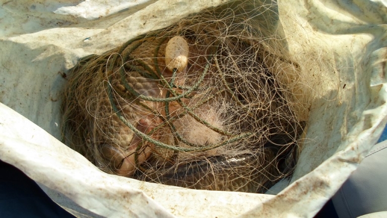 Над 10 тона риба от бракониери конфискували през 2018 г.