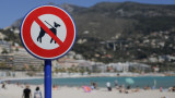  Община Варна забрани разхождането на домашни любимци по плажа 