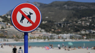 Община Варна забрани разхождане на домашни любимци по плажните ивици