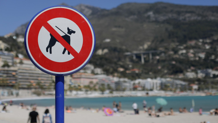 Община Варна забрани разхождане на домашни любимци по плажните ивици,