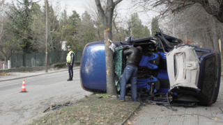 Крайпътно дърво "сряза" покрива на "Опел" в Благоевград