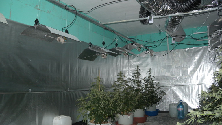 Изображение 408771