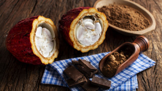 Швейцарският хранителен гигант Nestle представи иновативна технология която позволява използването