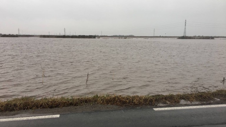 Изображение 319771