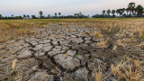  Испания се бори да избави земеделието си от тежката суша 