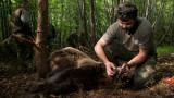 WWF България, кафявата мечка, есетрите, горите, опазването на природата и какво постигна организацията през 2022 г.