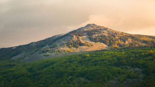 Столичният общински съвет одобри с 53 гласа за и 1