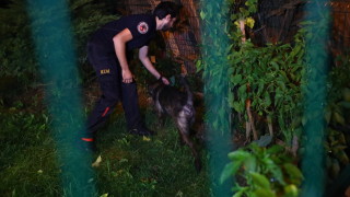 Турската полиция претърсва вила в северозападния вилает Ялова като част от