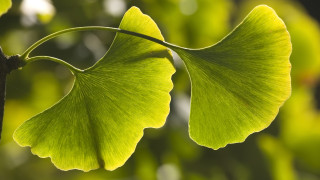 Хроничният стрес води до трайно повишаване на кръвното налягане твърдят