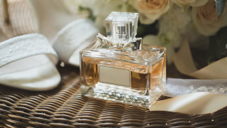 Есента и зимата са мистични сезони от годината когато всеки