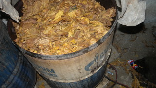 Полицаи откриха две работилници за преработка на тютюн и задържаха