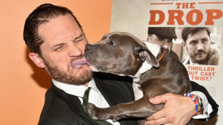 Семейно имане мафиотски схеми изгубена репутация предателства прегрупиране на силите