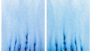 Плаващи часове. Луната е най-старият часовник