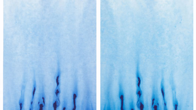 Изображение 102872