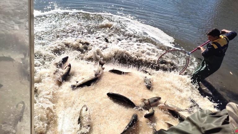 Изображение 553072