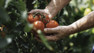 Все по често в контекста на климатичните промени говорим и конкретно
