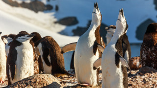 Когато мислим за Metallica първото нещо което обикновено изниква в