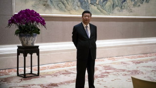 Въоръжени с интерактивни онлайн курсове щедро финансиране и нови специализирани