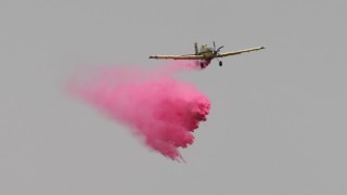 Израел благодари на България за помощта в борбата с пожарите край Йерусалим