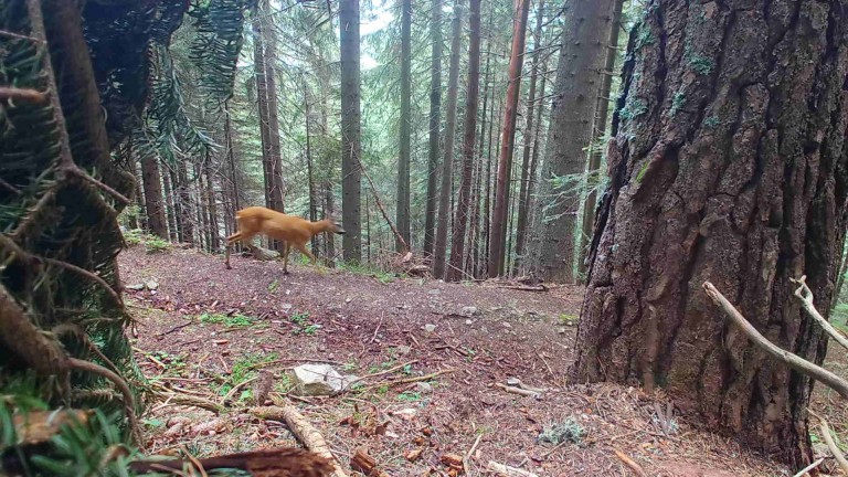 Изображение 634672