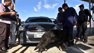 Египетската полиция предотврати мащабен терористичен акт в Кайро