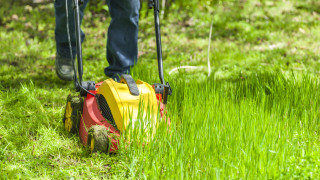 Може ли да косим мокра трева