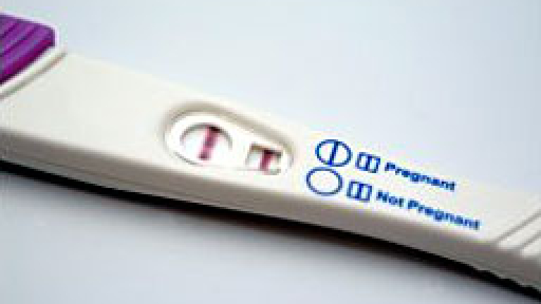 Изображение 26172