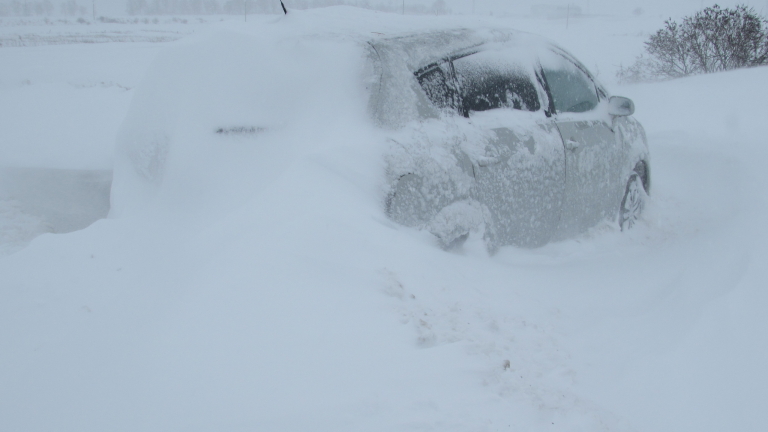 Изображение 216372