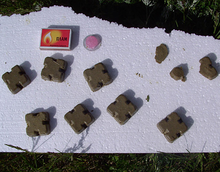 Разпръскват ваксини срещу бяс в Силистренско