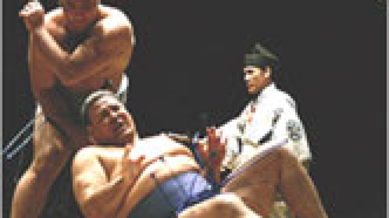 Изображение 17672