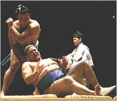 Котоошу сгази и Миябияма в Нагоя