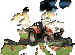 Финансовата подкрепа от ЕС е основен фактор за развитието на земеделието в България