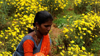 Индийка разбра, че е "омъжена" за жена след 6 месеца брак