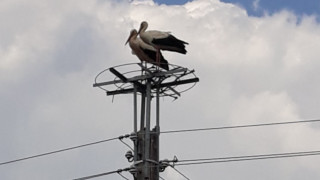 Електроразпределение Юг част от EVN оказа съдействие на община Брезово