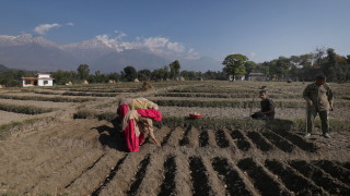 Индийската опозиция настоява за отмяна на нови земеделски закони