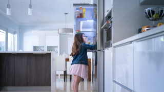 Алтернативна употреба на хладилника с фризер