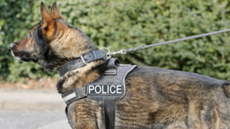С помощта на обучено куче са заловени 200 кг хероин