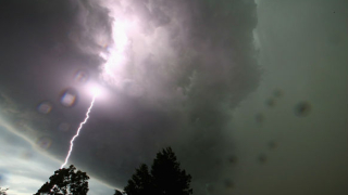 В Пазарджик са подадени 8 сигнала за паднали дървета и