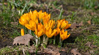 Днес преди обяд в по голямата част от страната ще е