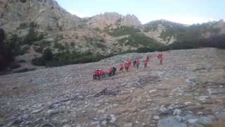 Планински спасители оказаха помощ на хижар, паднал от дърво във Витоша