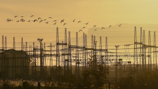 Силни ветрове в канадската провинция Онтарио доведоха до спирането на