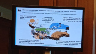 Прогнозата на WWF: Суша, загуба на реколта, екстремен климат заради човека