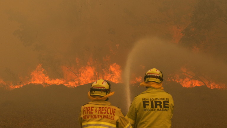 В резултат на горските пожари в североизточната част на Австралия