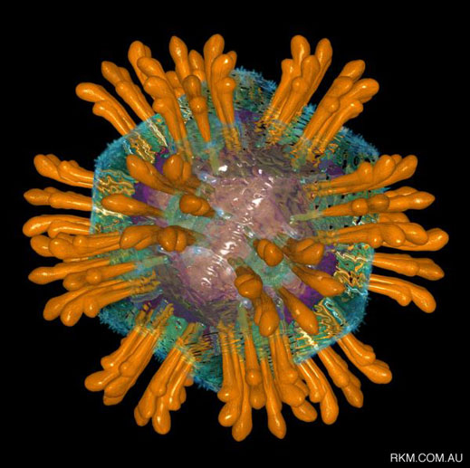СЗО: Нови случаи на коронавирус в ОАЕ