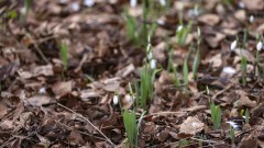 Слънчево и по-топло