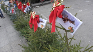 Живите елхички събраха 35 000 лв за децата с аутизъм