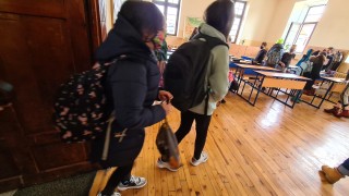 Присъственото обучение във всички училища в страната може да бъде